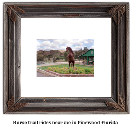 horse trail rides near me in Pinewood, Florida